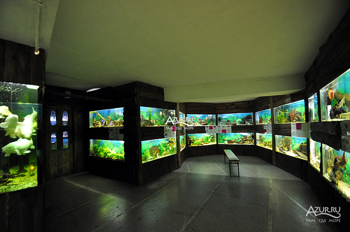 Второй зал алуштинского аквариума