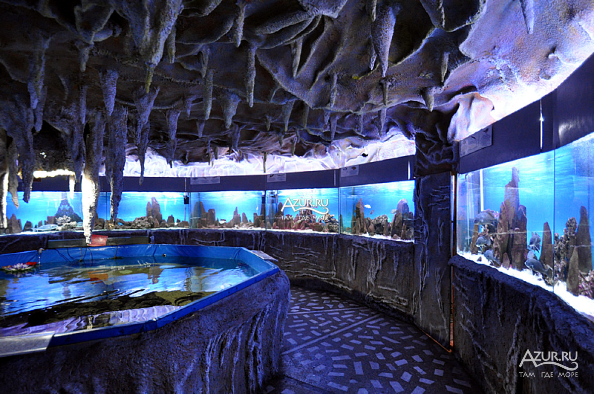 Первый зал аквариума в виде пещеры