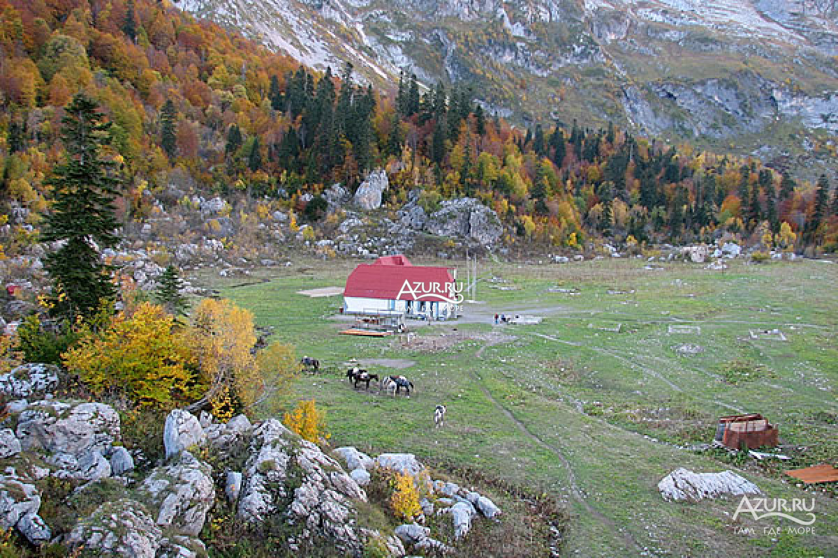 конное хозяйство