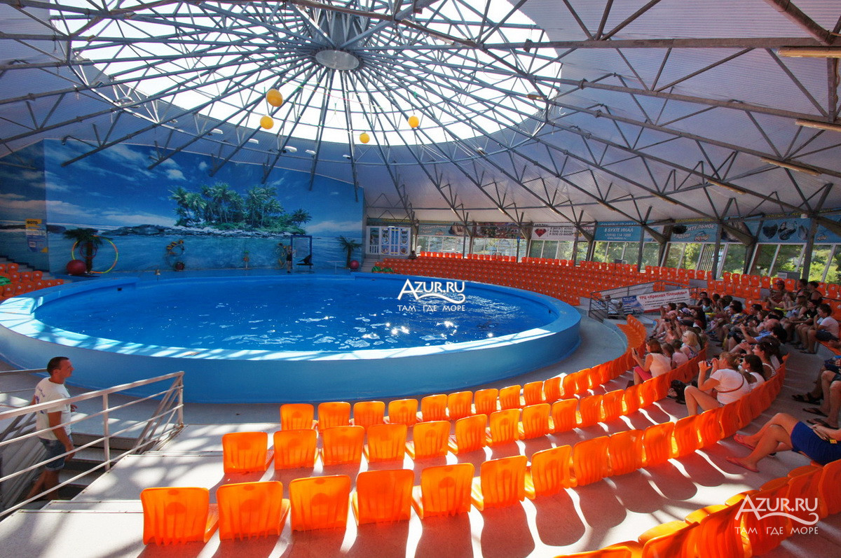 Зал дельфинария с бассейном