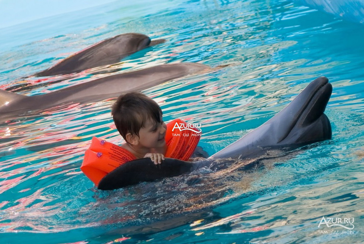 Дельфинотерапия в дельфинарии Немо