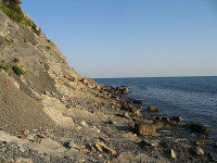 Пляж Сосновый бор Пляж Сосновый бор