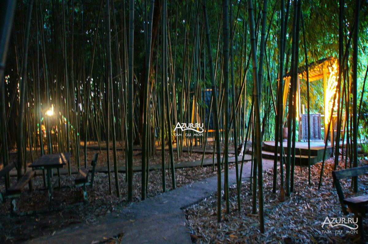 Отдых в бамбуковой роще