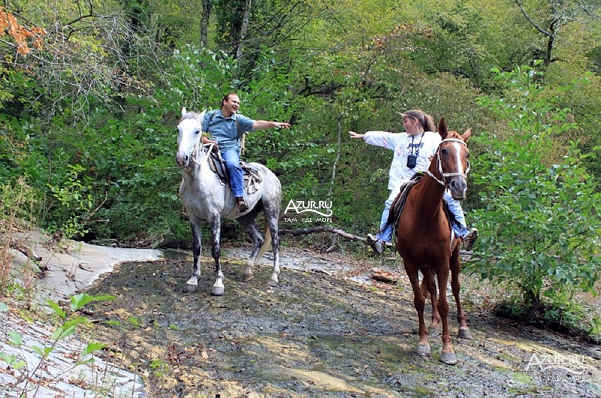 Путешествия на лошадях по окрестностям Прасковеевки