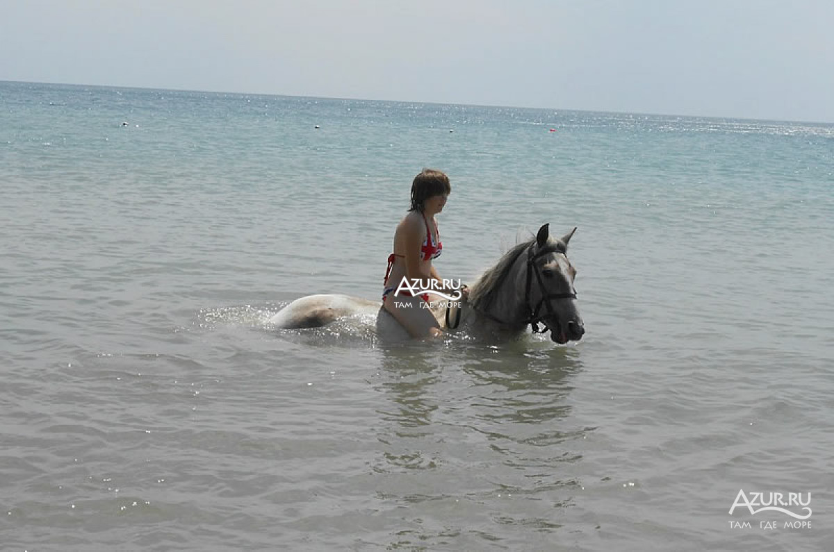 Купание в море на лошадях