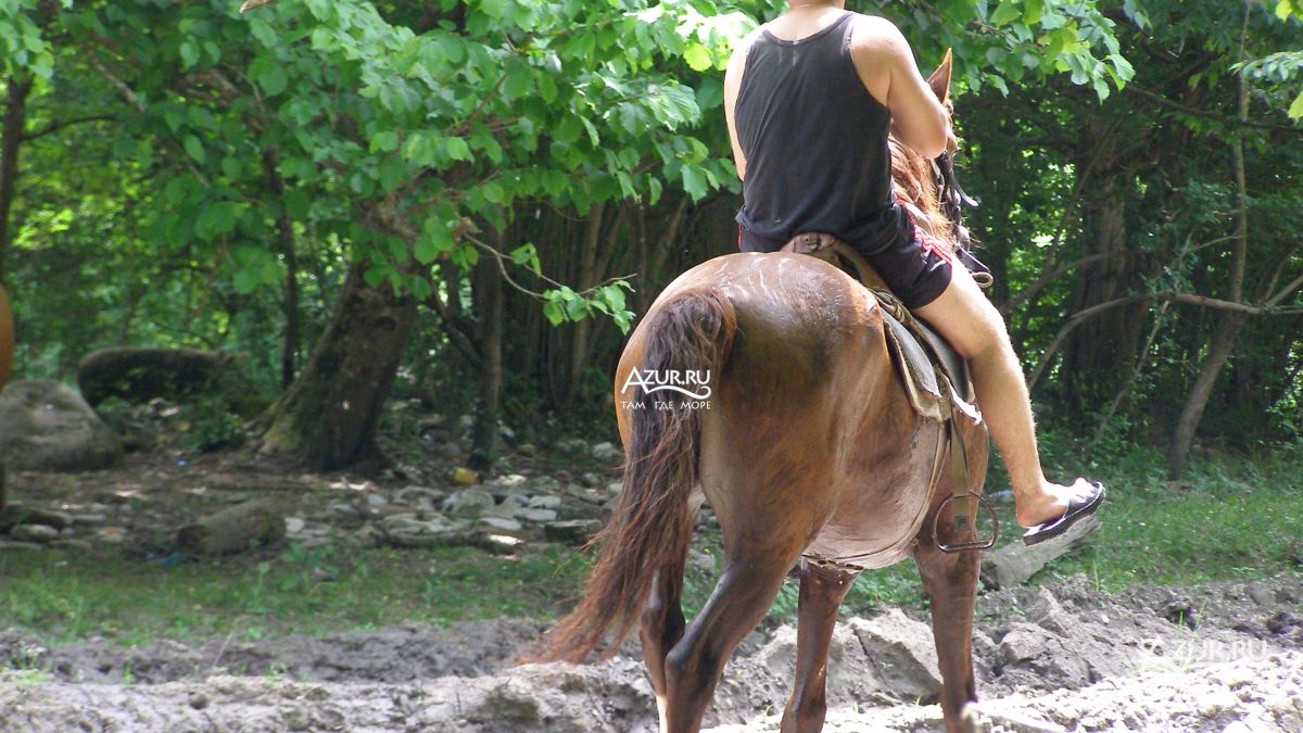 верхом на коне по лесным тропам Дедеркоя