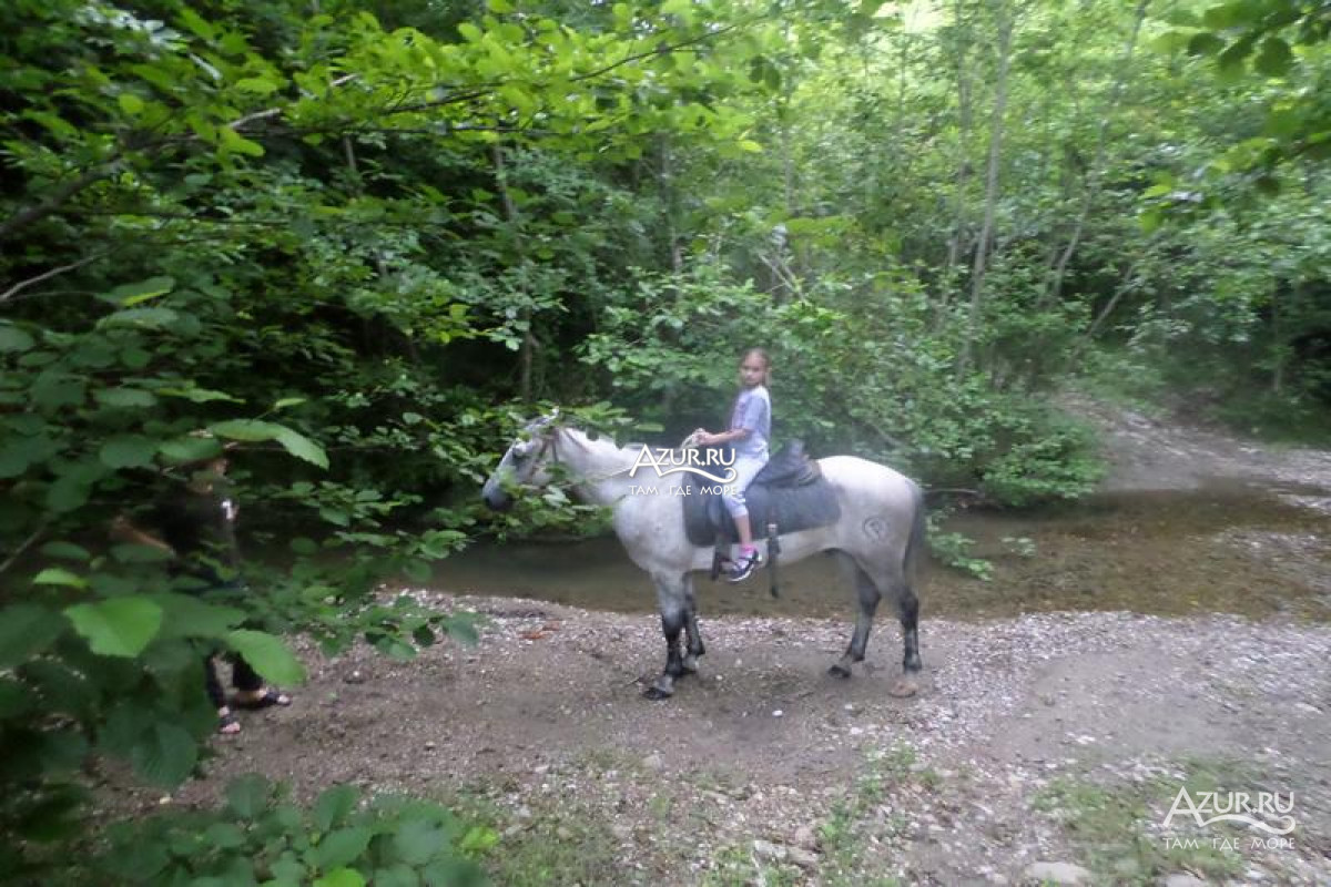 Конные прогулки в Абхазии