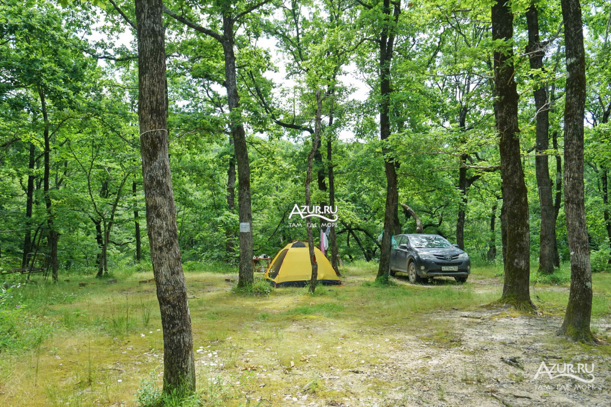 Места для отдыха с палаткой в Лесной сказке