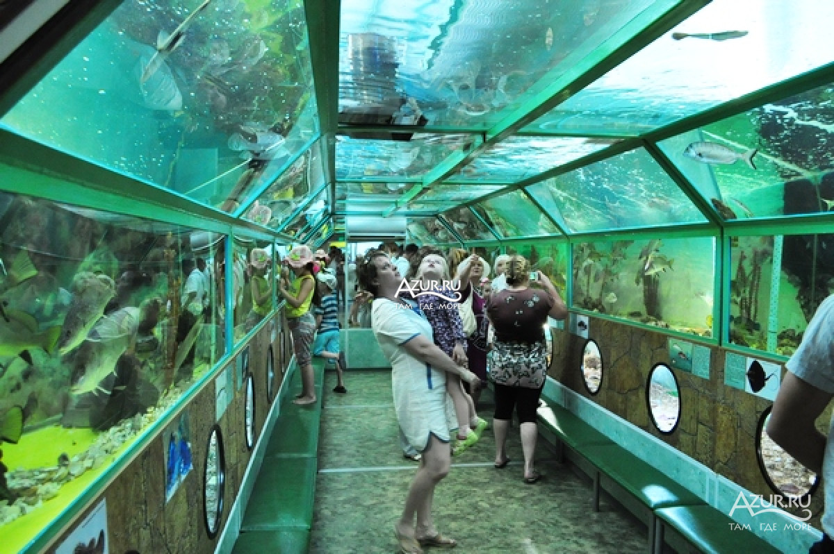 аквариум в Анапе