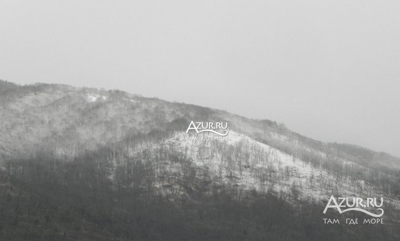 Фотография Заснеженный холм в Гагре,  22 января 2012 года - #41167 