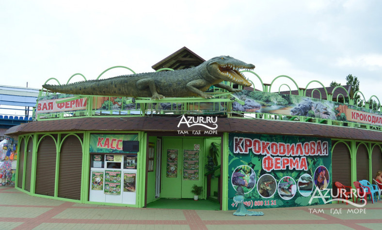 Фотография Крокодиловая ферма в Архипо-Осиповке,  25 июня 2015 года - #95893 