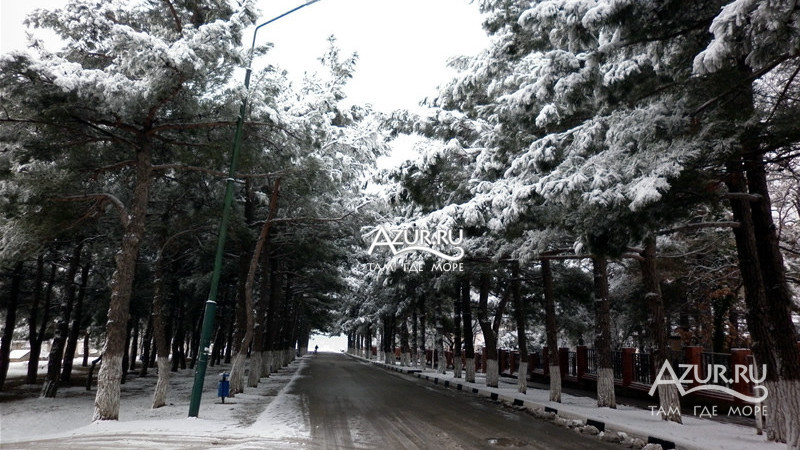 Кабардинка Зимой Фото
