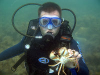 Подводный клуб "Морской кот" Подводный клуб "Морской кот"