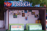 Пилинг "Рыбки Spa" Пилинг "Рыбки Spa"