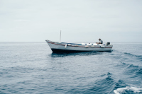 Морские прогулки на катере Морские прогулки на катере