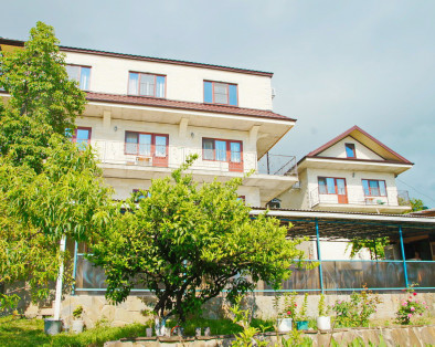 Гостевой дом "Барс Абхазия"
